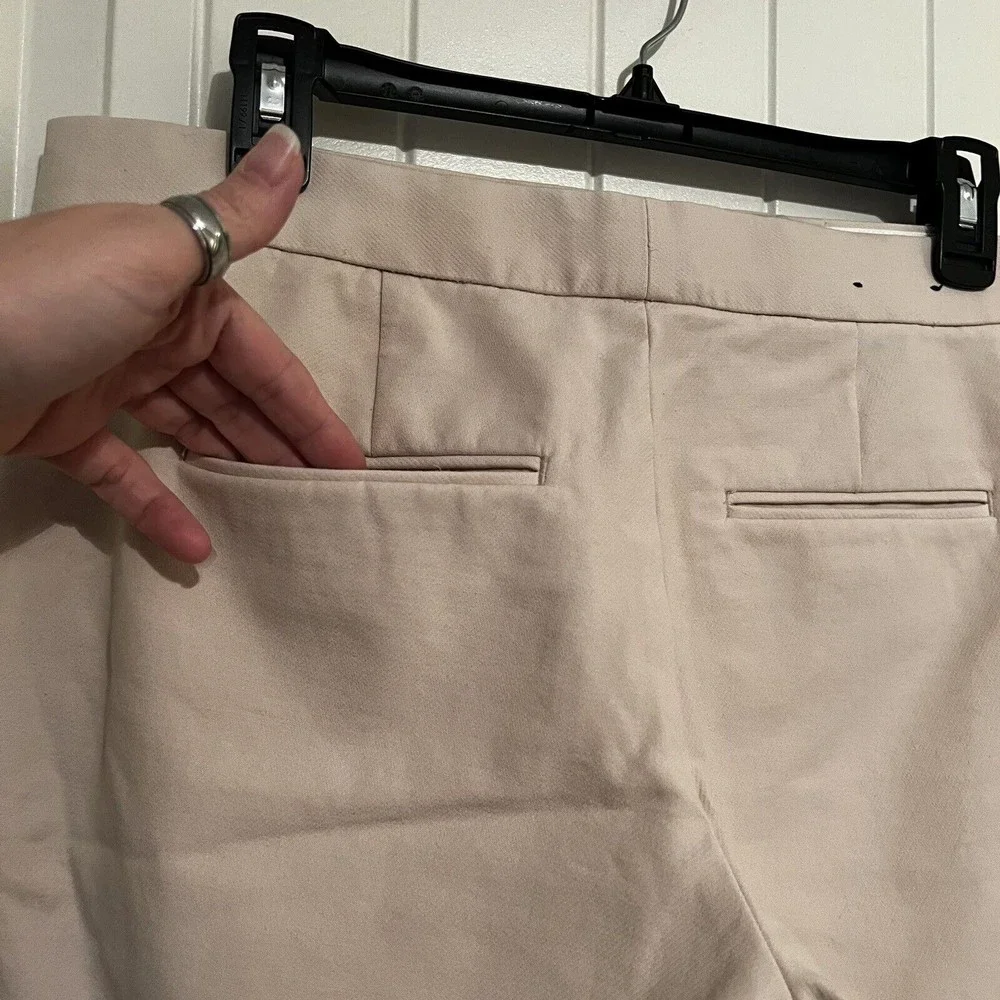 Ann Taylor Devin Beige Tan Work Pants Trousers Flat Front Pockets Size 6 Career - Picture 7 of 13